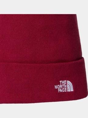 Norm Beanie