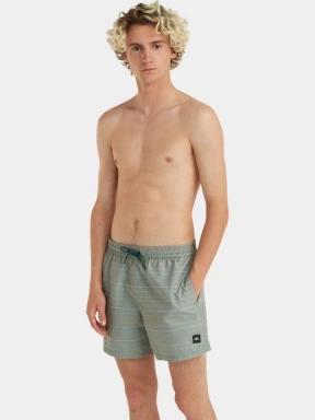 Jack O'Neill Cali First 15'' Swim Shorts