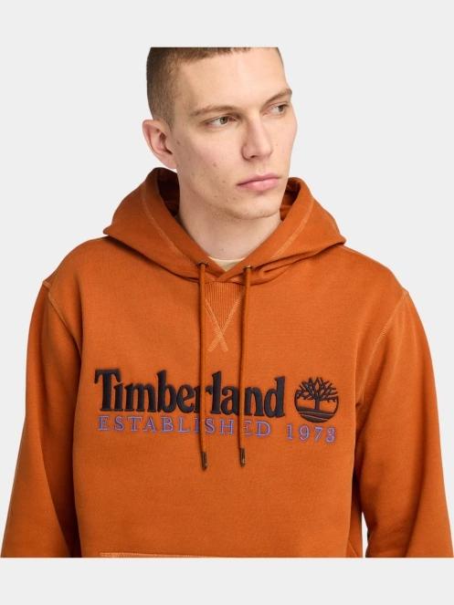 1973 Embroidery Logo Hoodie