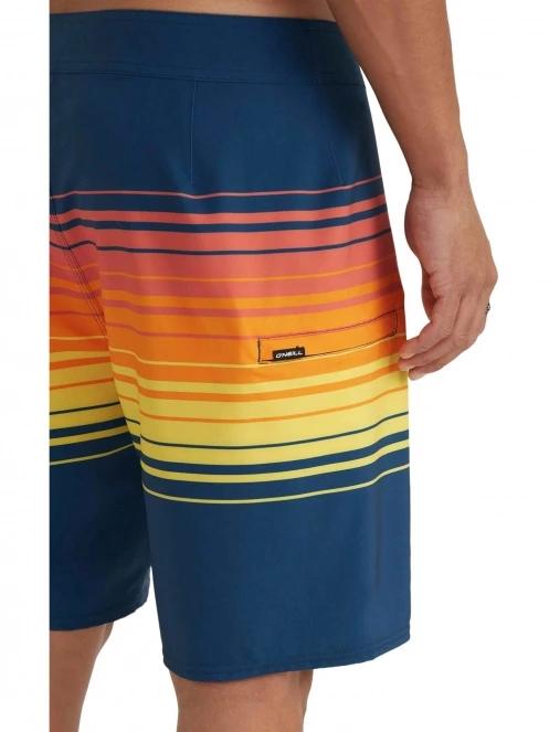 Hyperfreak Heat Stripe Line 19'' Boardshorts