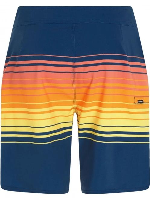 Hyperfreak Heat Stripe Line 19'' Boardshorts