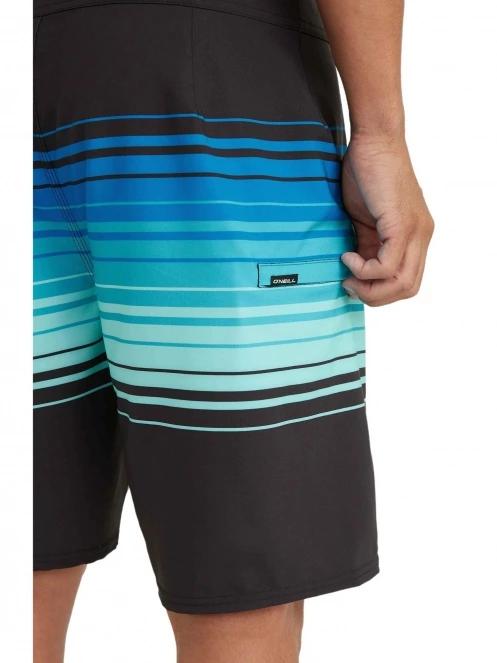 Hyperfreak Heat Stripe Line 19'' Boardshorts