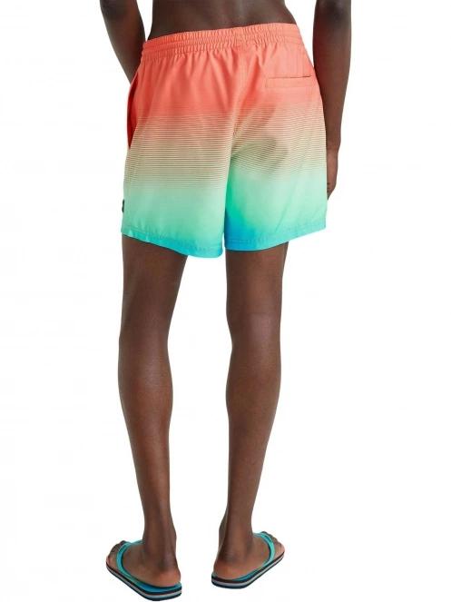 Jack O'Neill Cali Gradient 15'' Swim Shorts