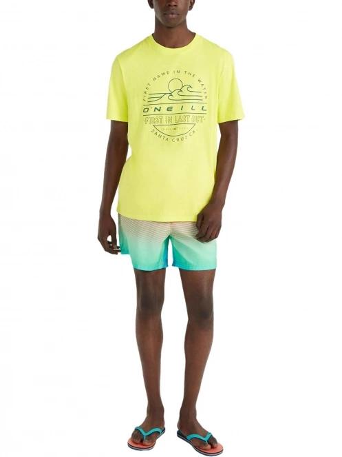 Jack O'Neill Cali Gradient 15'' Swim Shorts