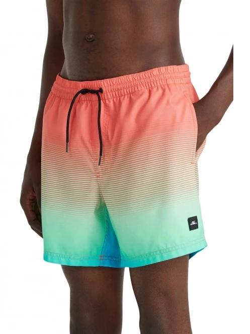 Jack O'Neill Cali Gradient 15'' Swim Shorts