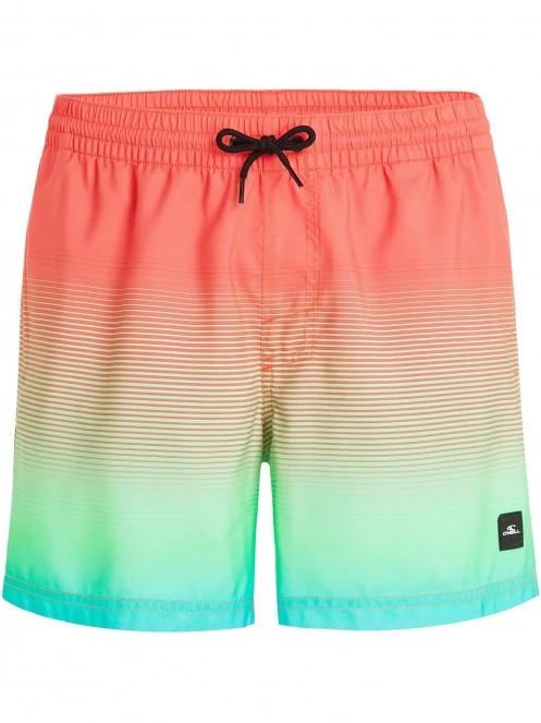 Jack O'Neill Cali Gradient 15'' Swim Shorts