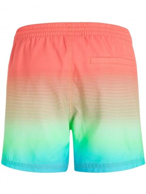 Jack O'Neill Cali Gradient 15'' Swim Shorts