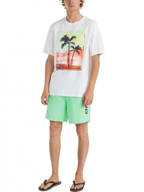 Cali 16'' Swim Shorts