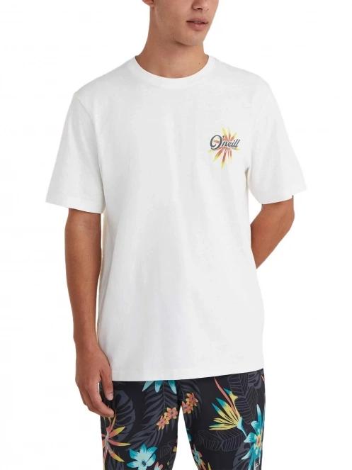 O'Neill Beach Graphic T-Shirt