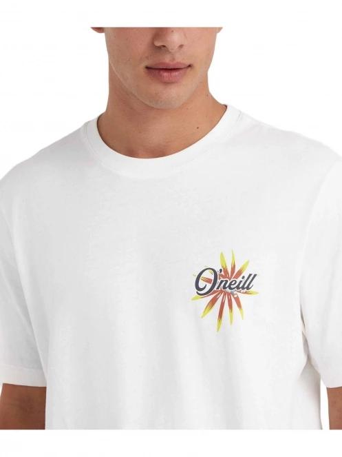 O'Neill Beach Graphic T-Shirt