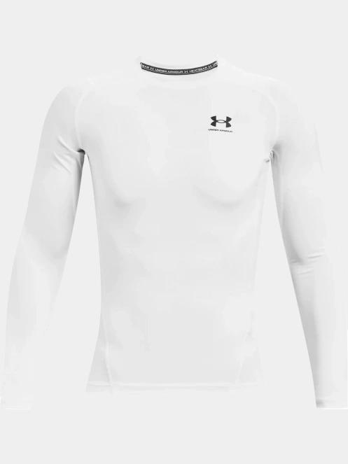 Ua HG Armour Comp Ls