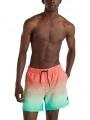 Jack O'Neill Cali Gradient 15'' Swim Shorts